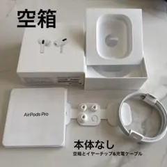 AirPods Pro 空箱　充電ケーブルとイヤーチップ付き