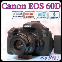 ✨️Canon EOS 60D✨️本格撮影に❤️ハイアマチュアモデル 届いてすぐ使える ✨️Canon EOS 60D✨️本格撮影に❤️ハイアマチュアモデル 届いてすぐ