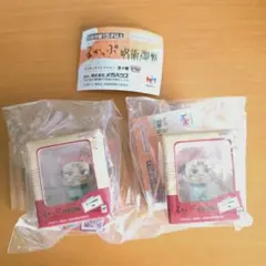 るかっぷ呪術廻戦 ミニチュアコレクション 両面宿儺2個