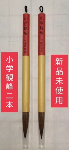 Item thumbnail for item 5aeecd6c-dd3d-4fd0-9759-b8d7171bf624