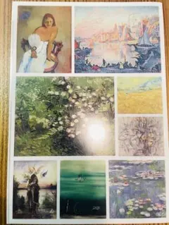 夏休み特価セール！ハワイ Christie Shinn マットプリント3枚セット