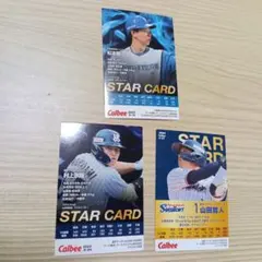 プロ野球チップス スターカードセット