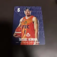 Item thumbnail for item d3036bc7-f81b-47af-b23b-d045a759289b