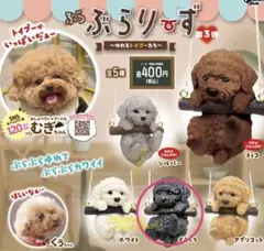 コーキ様 リクエスト 2点 まとめ商品