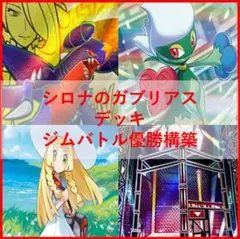 ポケモンカード　デッキ　シロナのガブリアス　デッキ　SR多数　[04348]