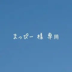 まっぴー様専用ページ