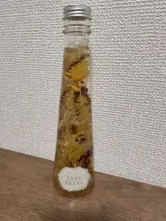 야쿠시마 삼나무 하바리움 병