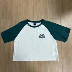 Disney ドナルド＆デイジー ラグランTシャツ　Lサイズのサムネイル