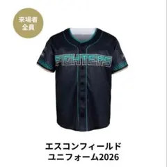 2026年最新】エスコンフィールド 1周年 ユニフォームの人気アイテム