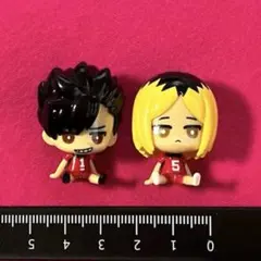 ハイキュー　バスボール　マスコット　黒尾鉄朗　孤爪研磨