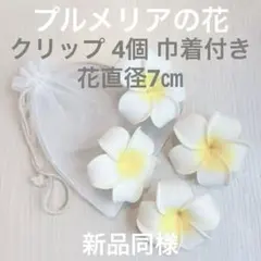 Item thumbnail for item 6aa07196-b5d3-492a-a77c-cbfedc89751b