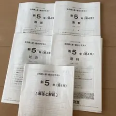 SAPIX 2020年度 5年生 テスト　フルセット サピックス 組分け、復習等 優秀層〜苦手層まで役立つ】新5年3月サピックス組分けテスト算数
