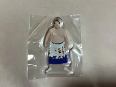照ノ富士関ミニアクリスタンド