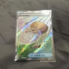 ポケモンカード せいなるはい SRのサムネイル