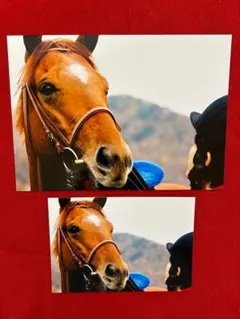 Item thumbnail for item a52af053-d937-418d-9b13-98e301255255