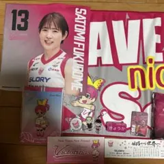 2025-26記念アクリルスタンド ヴィクトリーナ姫路 - メルカリ