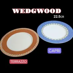 2026年最新】wedgwood capriの人気アイテム - メルカリ