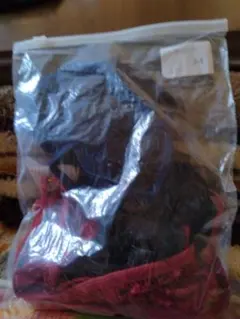 Item thumbnail for item 193bb497-0019-489d-b5c1-59156bb29d37