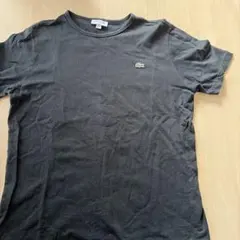 LACOSTE ラコステ スリムフィット Tシャツ ブラック　Lサイズのサムネイル