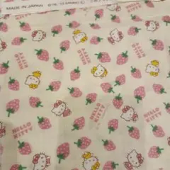 Item thumbnail for item b5817b30-ef57-4bfc-a9dc-ff1ca0567387