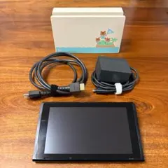 Nintendo Switch 本体とドッグセット 【Joy-Con無し】