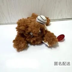 Item thumbnail for item add35754-527e-4939-b81a-41ec807d17a1