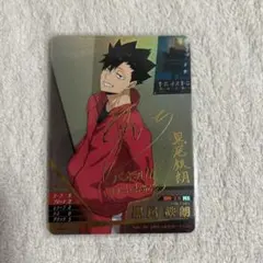 ハイキュー　バボカ　日向翔陽　影山飛雄　孤爪研磨　黒尾鉄朗　サイン入り　秘バボ ハイキュー バボカ 日向翔陽 影山飛雄 孤爪研磨 黒尾鉄朗 サイン入り 秘