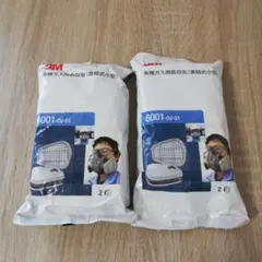 3M 6001-OV-01 防塵マスク 2枚入り×2袋