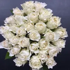 白バラ、グランオマージュ【生花】30cm 30本《画像参照》のサムネイル