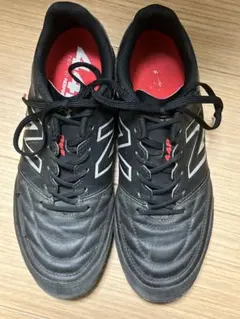 Item thumbnail for item 0c9dd19c-b2f1-4fb6-bef3-0ba8bdea3078