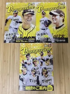 Item thumbnail for item 6cdd3bd7-8190-433f-9acf-30709ad4b7a2