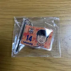 Item thumbnail for item 5b267d62-f7db-4ffb-998a-fdcbd260df9c