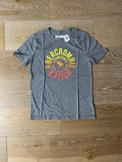 Sale!新品160㎝アバクロンビーAbercrombieBoysTシャツノースのサムネイル