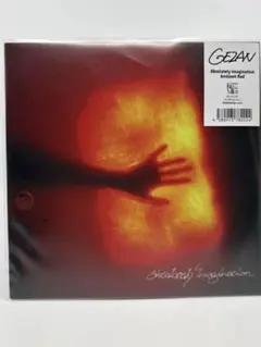 GEZAN Absolutely Imagination レコード 7inch 2026年最新】gezan レコードの人気アイテム - メルカリ