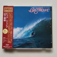 2026年最新】山下達郎 Big Wave 30の人気アイテム - メルカリ