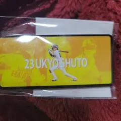 金丸晃輔 3ポイントシュート900回記念爆釣アクリルキーホルダー - メルカリ