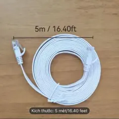 5M CAT6 イーサネット LAN ケーブル