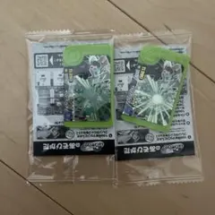 ポケモンフレンダ スペシャル フレンダピック ジガルデ 2枚セット 非売品