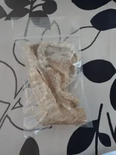 蛇の脱け殻 蛇皮 脱皮