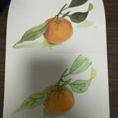 ハンドメイド色鉛筆で作成 大人の塗り絵 ポストカード 2枚セット
