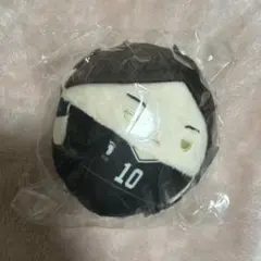 ハイキューぬいくじ　角名倫太郎