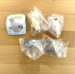 アザラシ マーカーチャーム 4点セット