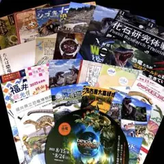 恐竜博物館　パンフレット セット　うちわ　恐竜　(S2)