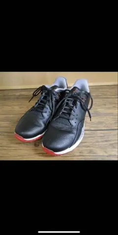 2025年最新】ナイキゴルフ ジョーダンadgの人気アイテム - メルカリ