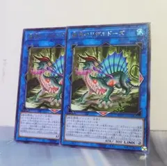 「盛悴のリザルドーズ」レア2枚セット