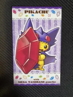 2025年最新】ポンチョ ピカチュウ 名刺の人気アイテム - メルカリ