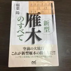 新型雁木のすべて