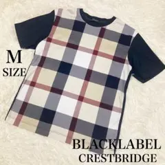 BLACKLABEL CRESTBRIDGE 半袖Tシャツ　チェック柄　Mサイズのサムネイル