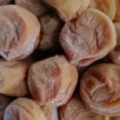 tame様専用‼️容器なし本場紀州南部の南高梅の白干し梅切れ傷500g２個送料込