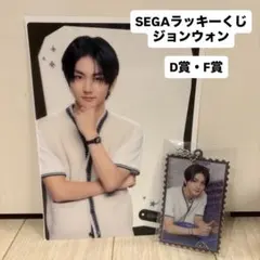 ENHYPEN セガラッキーくじ ジョンウォン D賞・F賞 セット